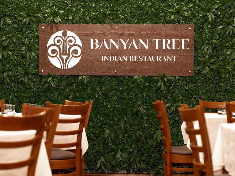 Banyan Tree