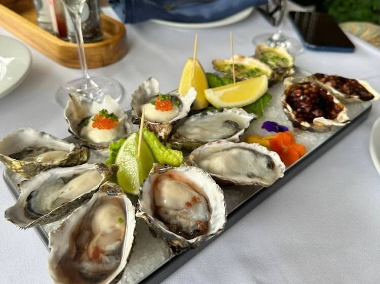 Blu Oyster Co