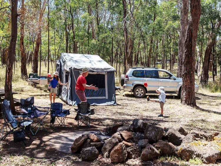 You beauty! Camping will be free across Victoria this summer