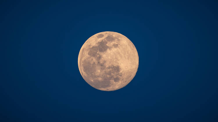 Supermoon in the night sky