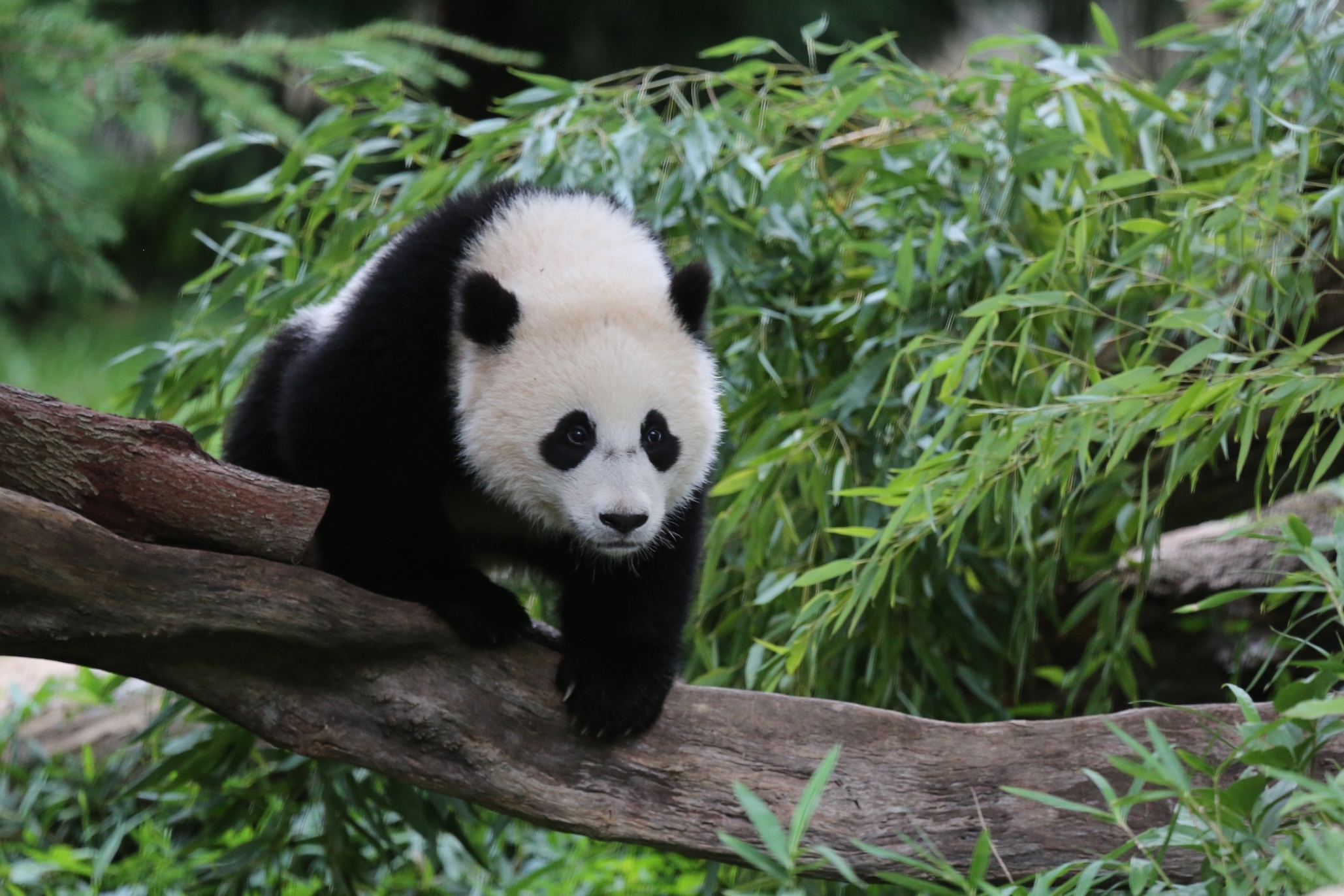 The best things to do in Washington, D.C. with kids - Time Out