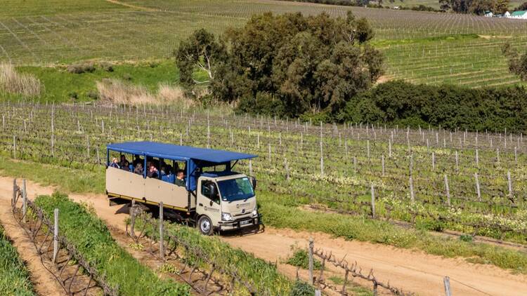 Durbanville Wine Safari