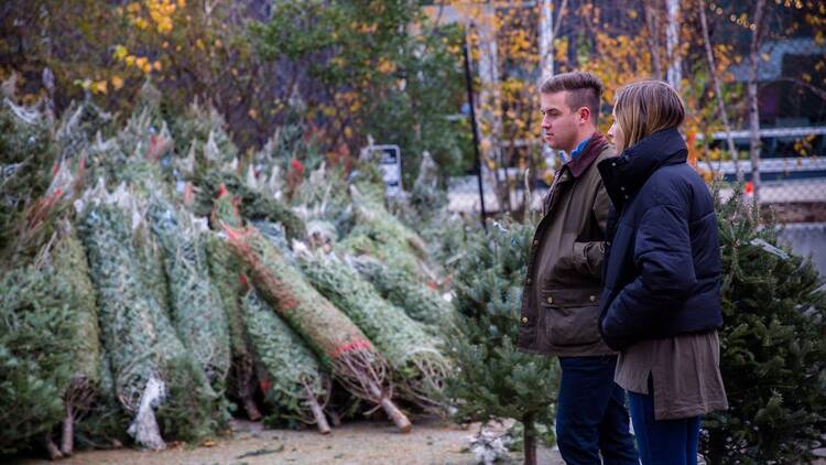 Boston Seaport Snowport Christmas tree lot