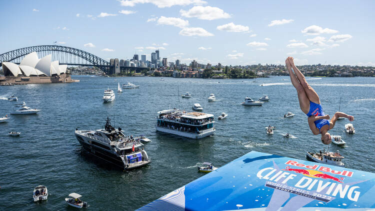 Athlete cliff diving in Sydney Harbour