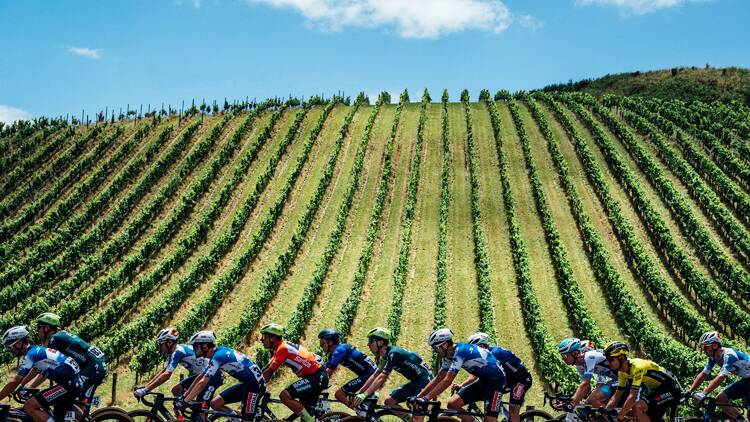 Santos Tour Down Under