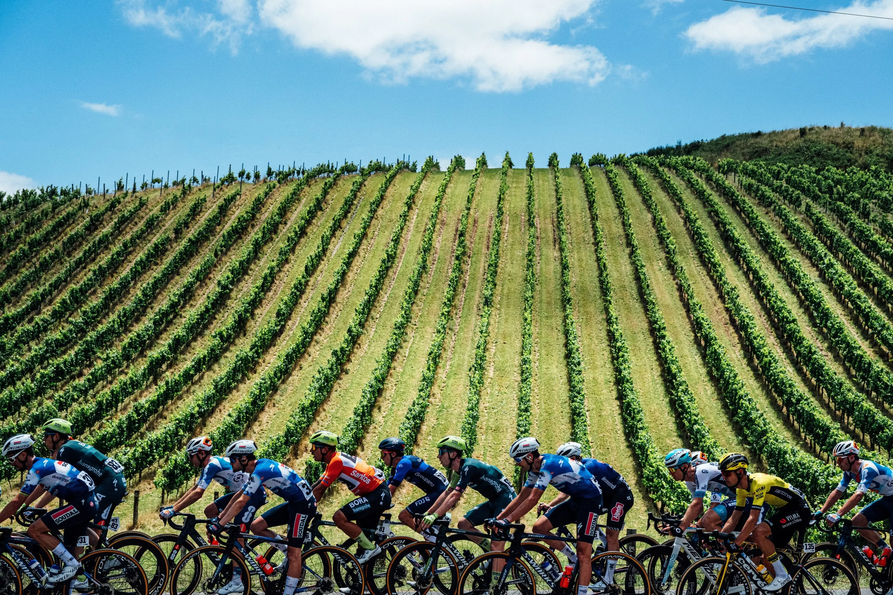 Cyclists racing in Adelaide Hills