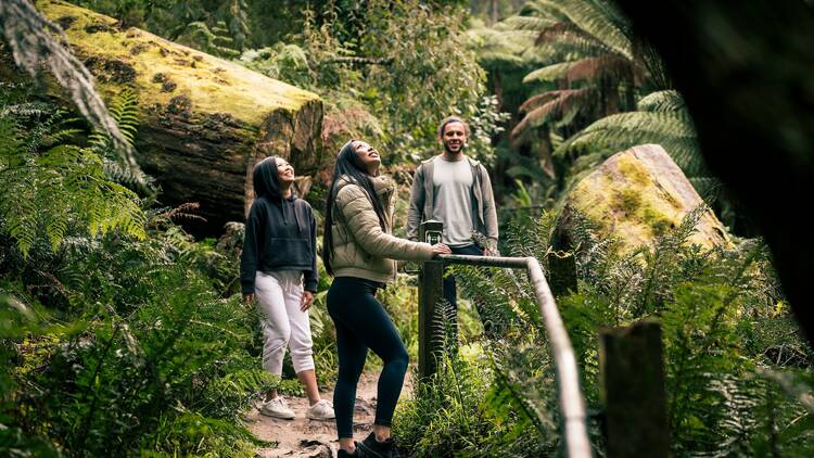 Attempt the 1,000 Steps Kokoda Track Memorial Walk