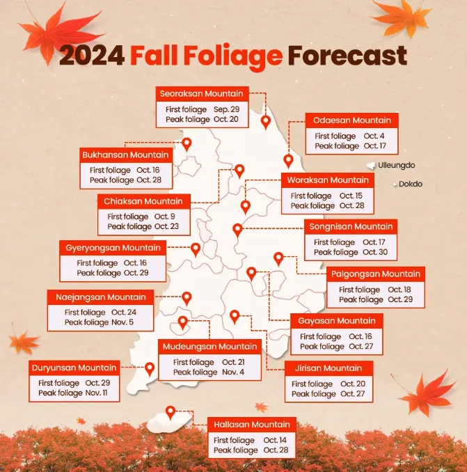 fall foiliage South Korea