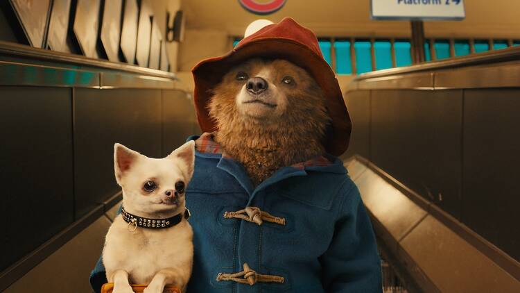 Paddington (2014, 2017 + 2024)