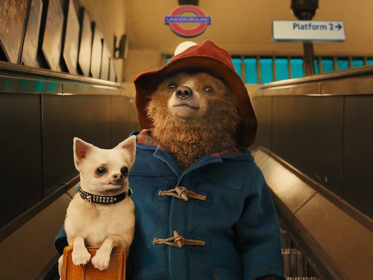 Paddington (2014, 2017 + 2024)