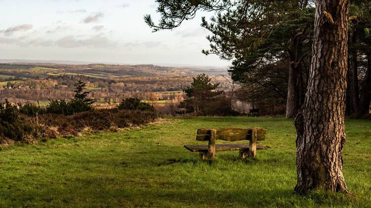 Ashdown Forest