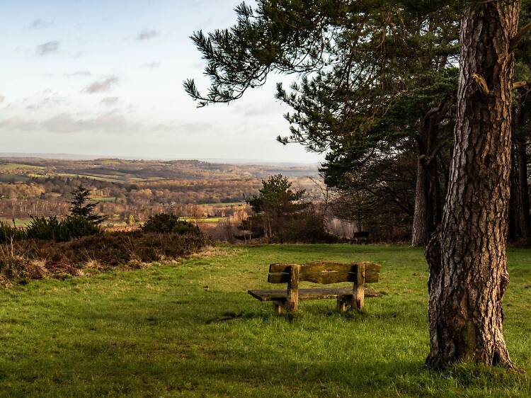 Ashdown Forest