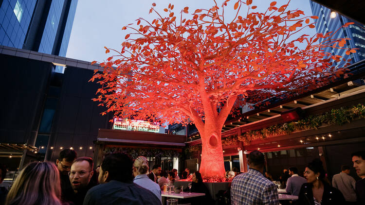 Neon red tree on rooftop bar