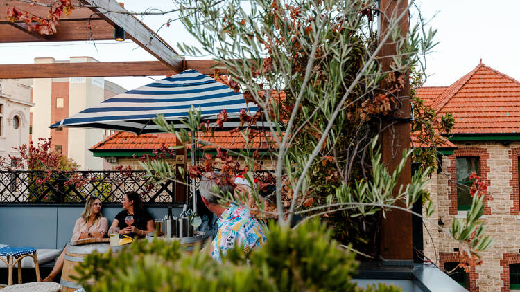 Rooftop bar with greenery