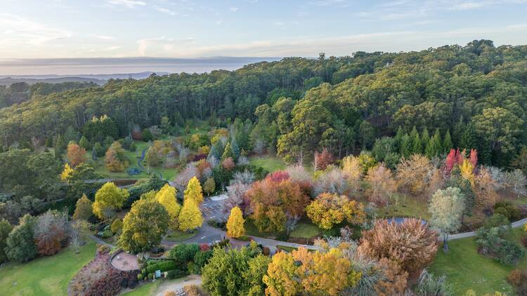 Mount Lofty Botanic Garden