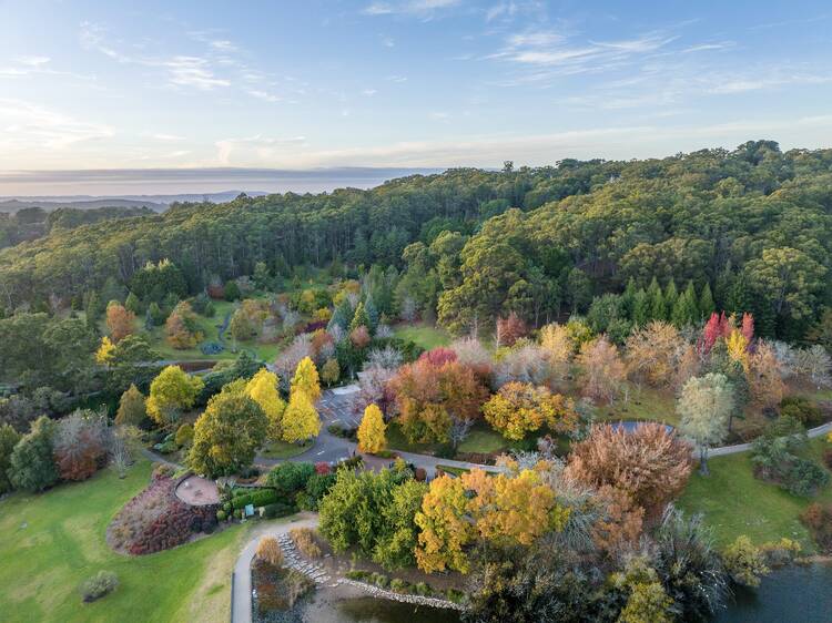 Mount Lofty Botanic Garden