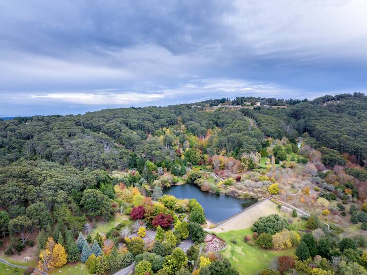 Get zen in Mount Lofty Botanic Gardens