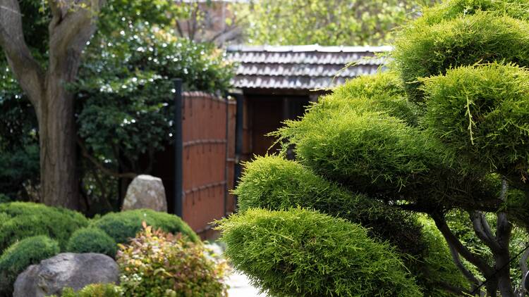 Adelaide Himeji Garden