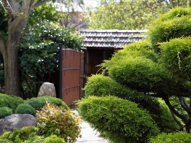 Adelaide Himeji Garden