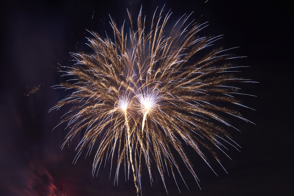 One of London’s biggest Bonfire Night fireworks displays has been cancelled for 2024