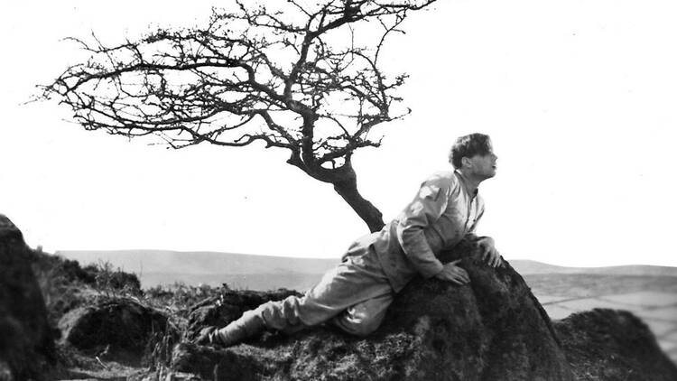 A Cottage on Dartmoor (1929)