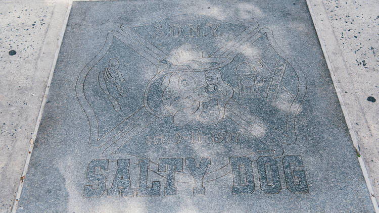 Salty Dog (Dave Giordano)