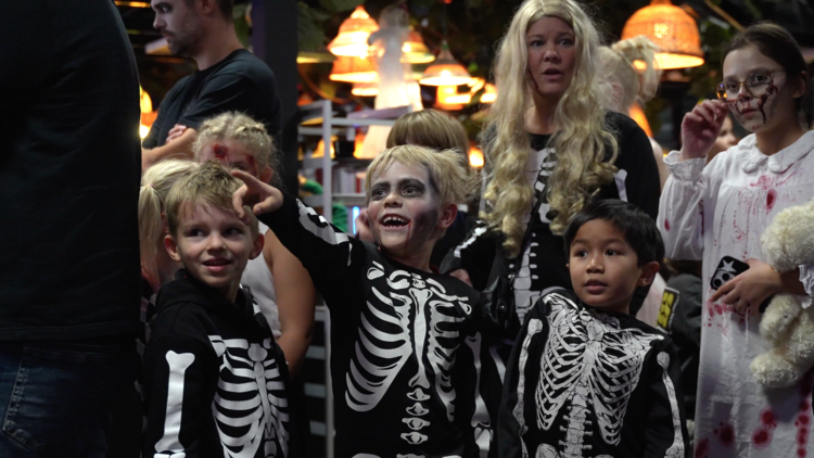 Halloween JumpYard Halloween JumpYard