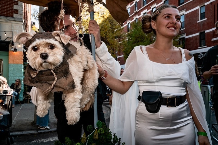 11 spectacular photos and videos from the Tompkins Square Halloween Dog Parade 2024