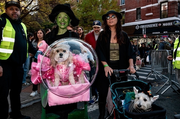 Glinda the Good Witch and the Wicked Witch of the West at The Tompkins Square Halloween Dog Parade