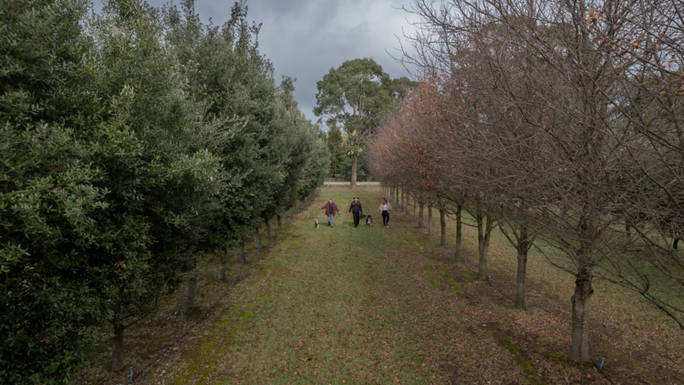 Group of people with a dog on a truffle hunt.