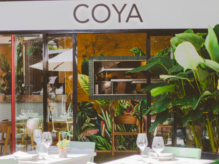 Coya Noosa