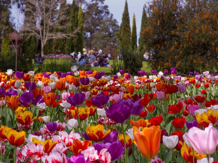 Araluen Botanic Park