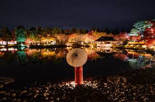 秋の散歩道 Kyoto Japan Walk/ShinnyodoTemple, famous for its autumn