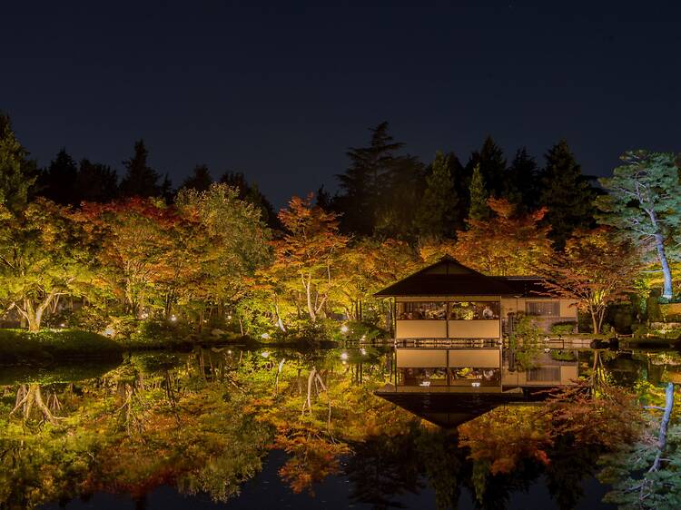 秋の夜散歩 秋の夜散歩