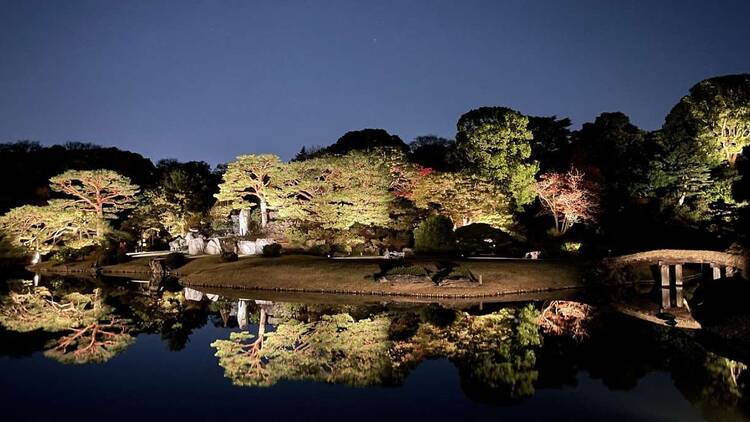 庭紅葉の六義園 夜間特別観賞