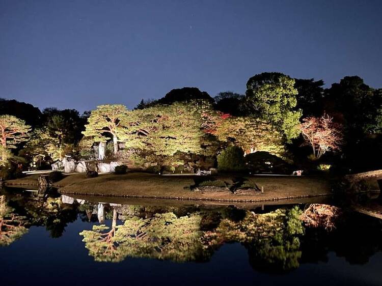 庭紅葉の六義園 夜間特別観賞