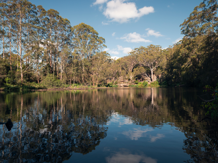 Lane Cove National Park