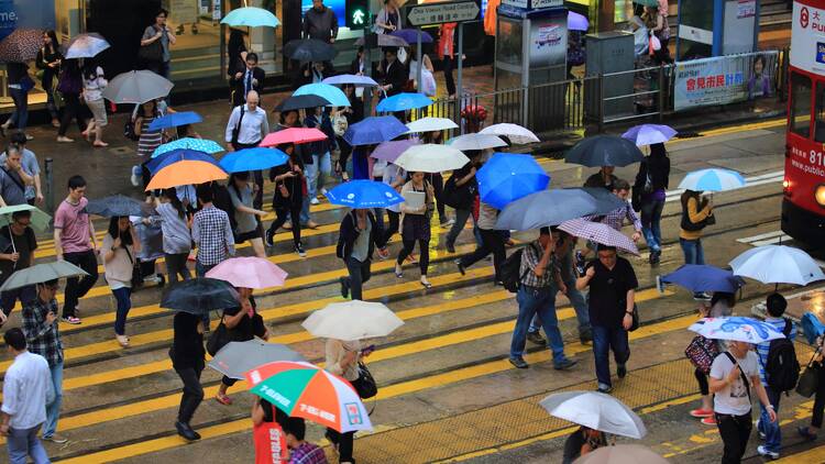 Hong Kong rainy weather