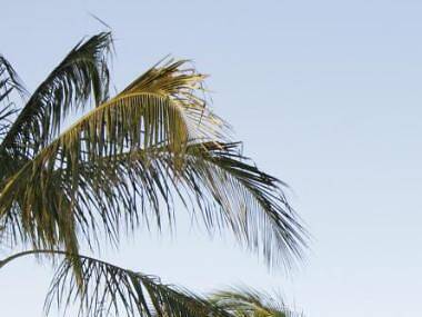 The 10 best family-friendly hotels in Key West, Florida for a super chilled vacation The 10 best family-friendly hotels in Key West, Florida for a super chilled vacation