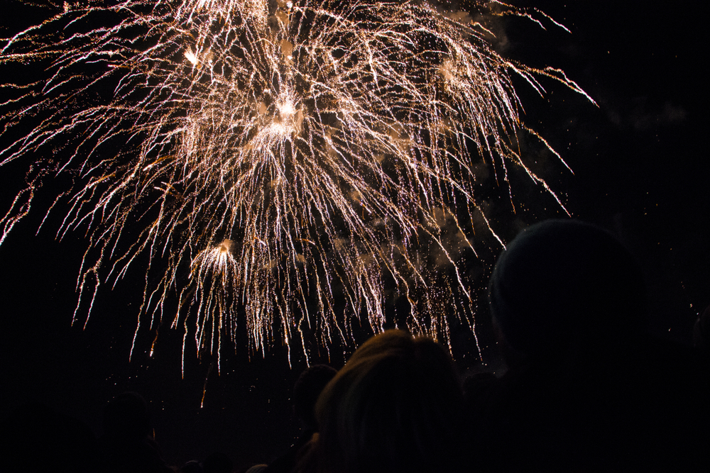 Yet another major London Bonfire Night fireworks display has been cancelled for 2024