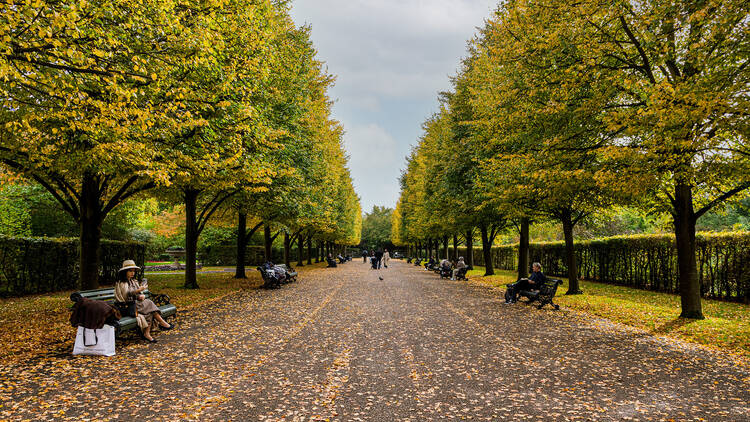 Regent’s Park (Photograph: Laura Gallant for Time Out)