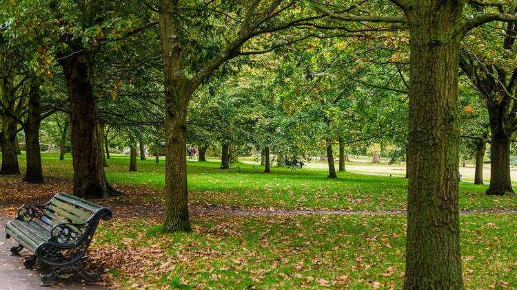 Regent’s Park (Photograph: Laura Gallant for Time Out)