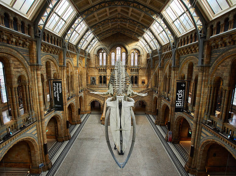 Natural History Museum