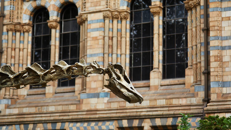 Natural History Museum exter (Photograph: Jess Hand for Time Out)