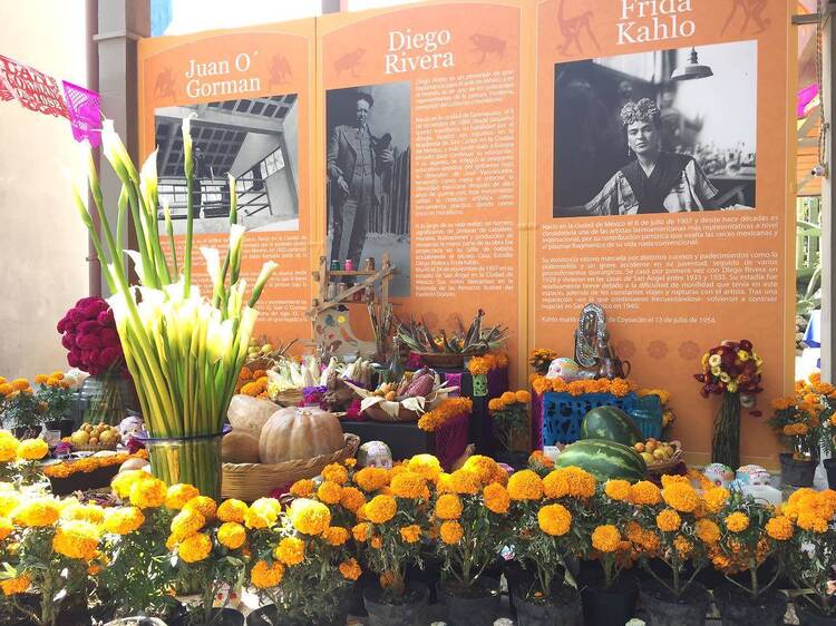 Museo Casa Estudio Diego Rivera y Frida Kahlo