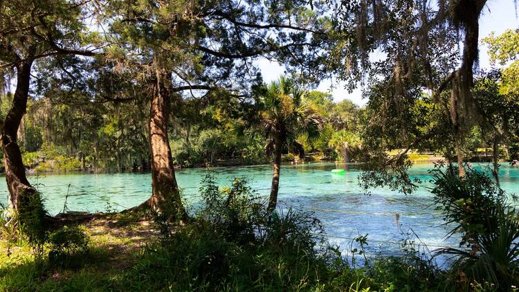 Ocala National Forest