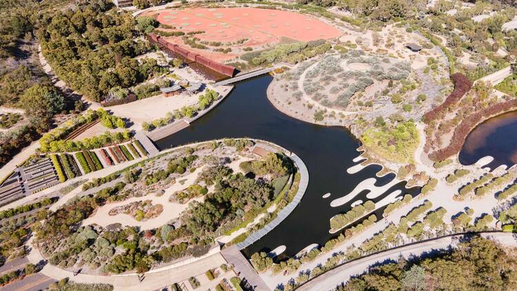 Aerial view of a garden with a lake and greenery. 