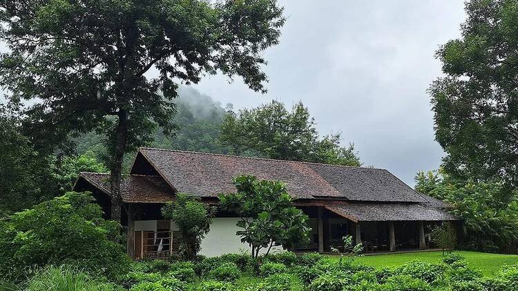 Araksa Tea garden