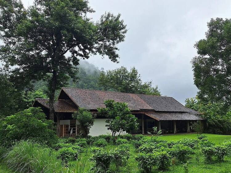 Araksa Tea garden