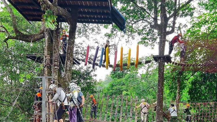 Pongyang Jungle Coaster Zipline Camp and Resort